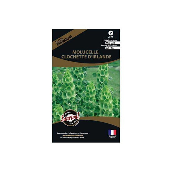 Graines de fleurs premium molucelle clochette d'irlande