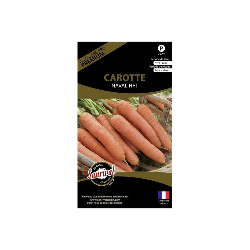 Graines potagères premium carotte naval