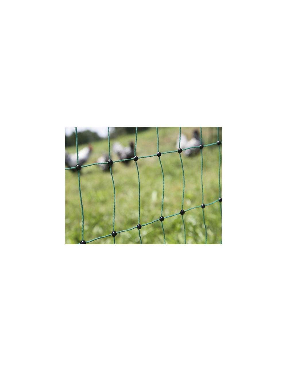 Filet à volailles poultrynet vert, électrifiable, double pointe, 25m, 106 cm