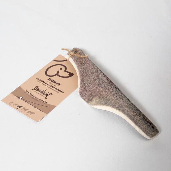 Bois de cerf biseau benji pour chiots ou chiens peu endurants taille m