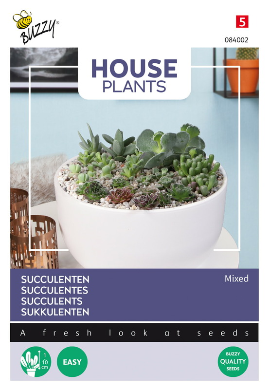 Buzzy house plants mixed succulentes - ca. 7 graines (livraison gratuite)