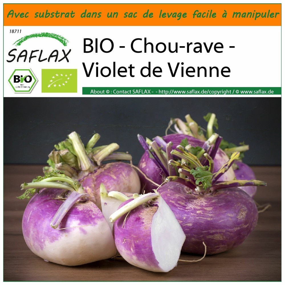 Garden in the bag - bio - chou-rave - violet de vienne - 600 graines - brassica rapa
