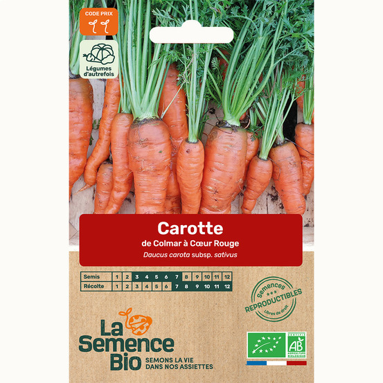 Carotte de colmar à c ur rouge 2 - graines bio