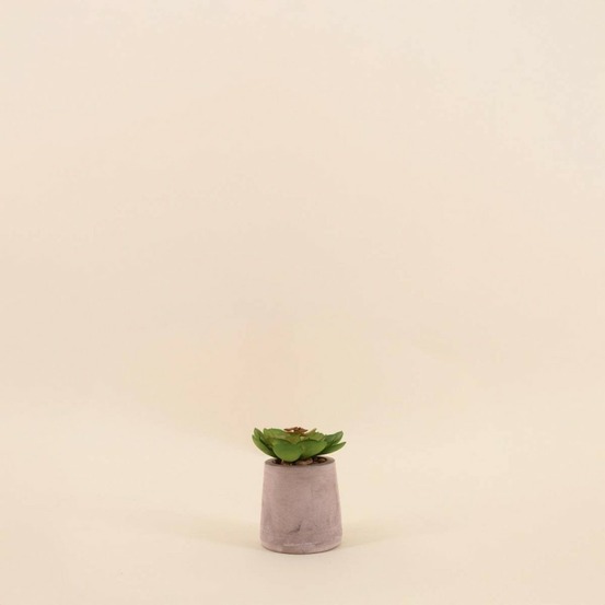 Plante artificielle pot ciment 8cm