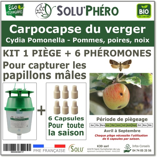 Solu'phéro - kit 1 piège funnel + 6 phéromones contre le carpocapse du verger (pommier, poirier, noyer) - 1 capsule 4 semaines