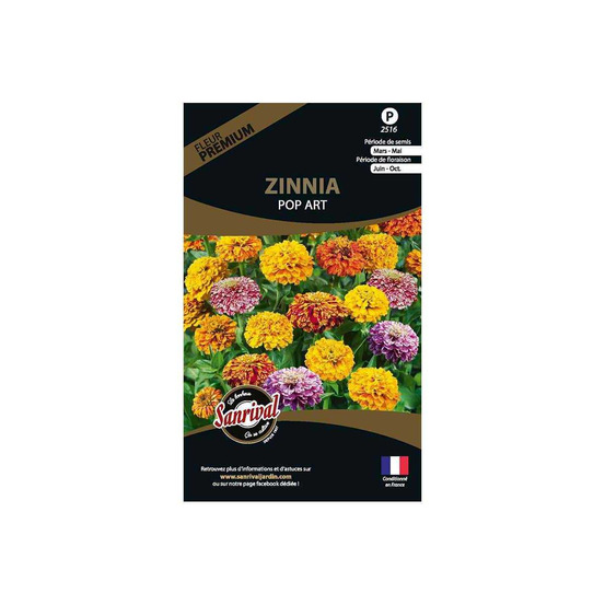 Graines de fleurs premium zinnia pop art