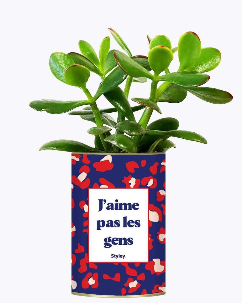 Plante personnalisée - j'aime pas les gens - plante