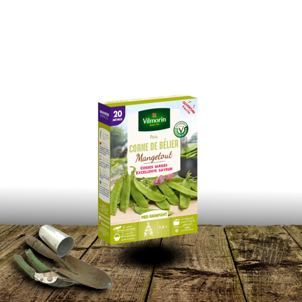 Graines de pois grimpant mangetout corne de bélier - vilmorin boite - 20 mètres