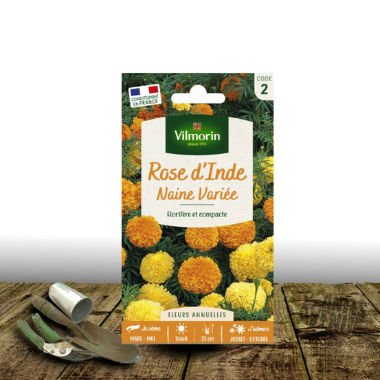 Graines de rose d'inde nain variée - vilmorin sachet