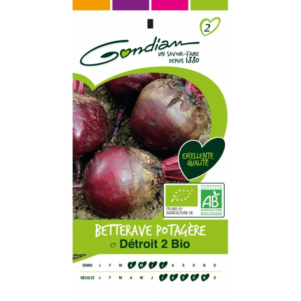 Betterave potagere bio