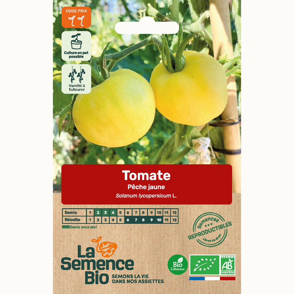 Tomate pêche jaune - graines bio