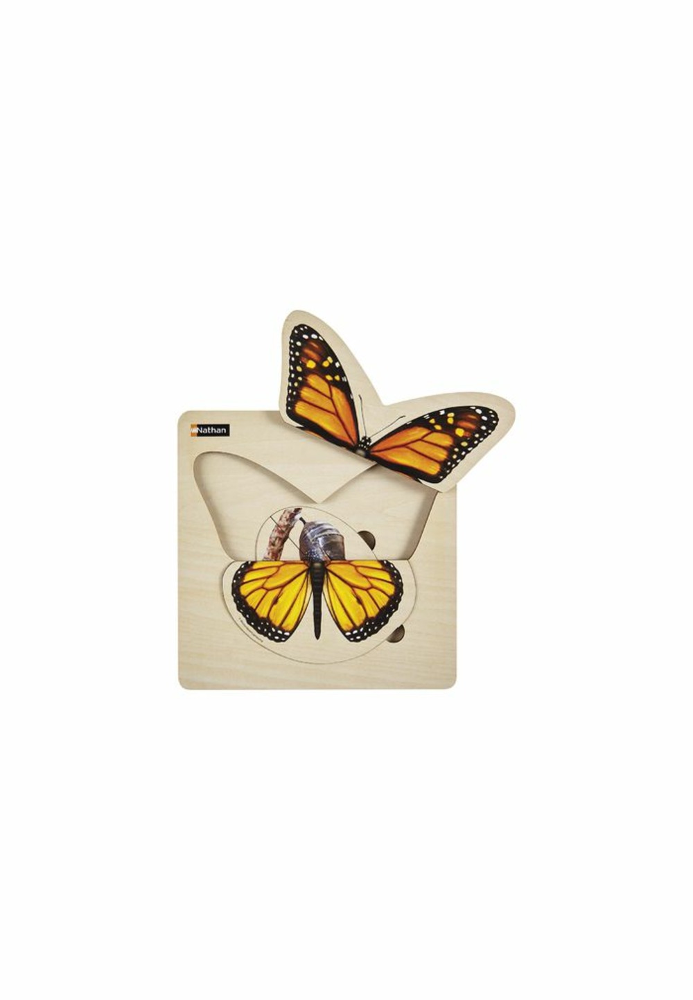 Puzzle cycle de vie -papillon