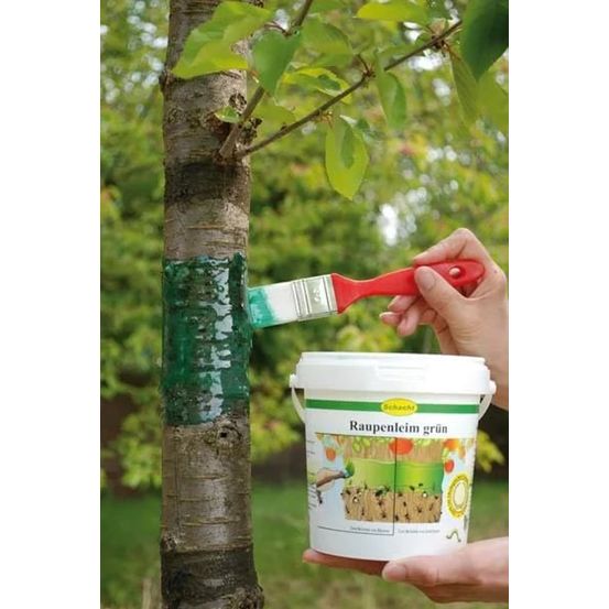 Colle anti-chenilles 1 kg - protection idéale pour vos arbres