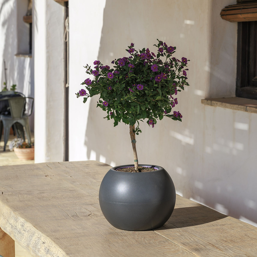Dalia 50 Pot rond pour plantes et fleurs en polyéthylène ø37,5x50 cm pour l'extérieur et l'intérieur très résistant. Anthracite