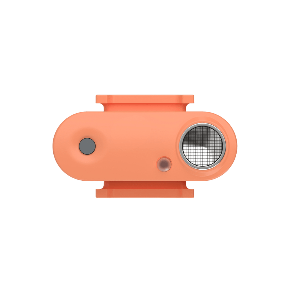 Mini dog tickless - hot peach