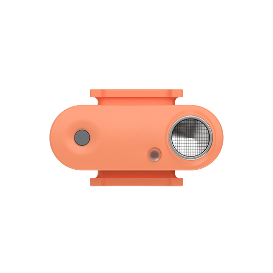 Mini dog tickless - hot peach
