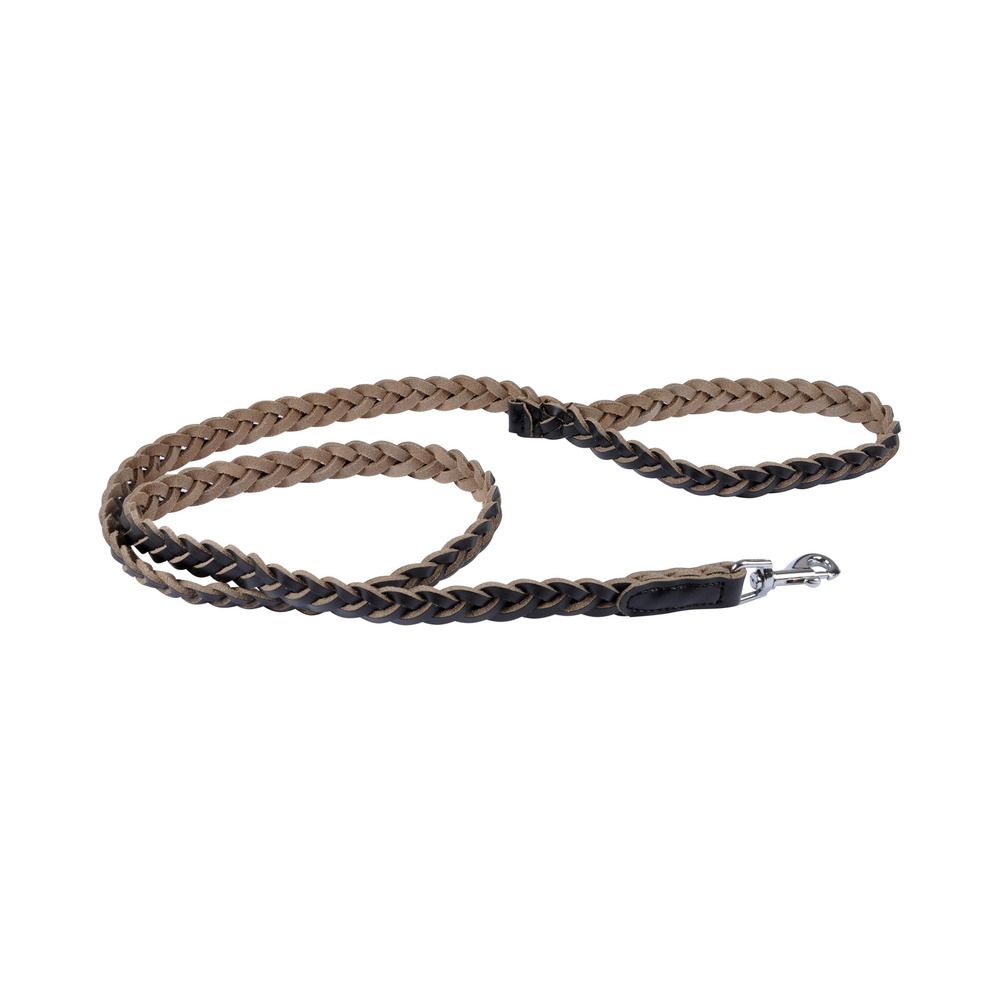 Laisse en cuir tresse pour chien
