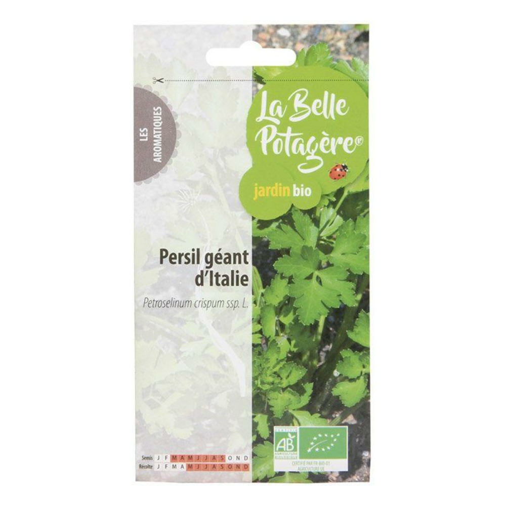 Graines à semer - persil géant d'italie - 2 g