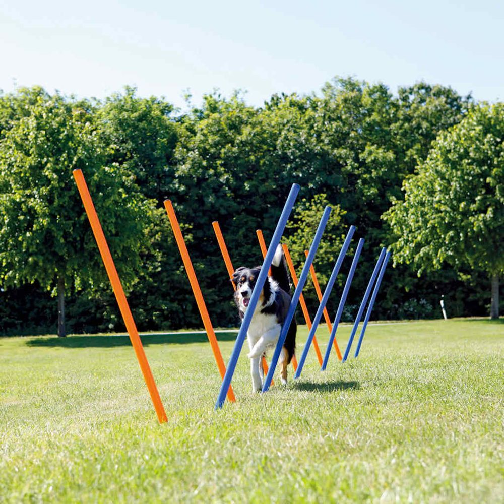 Piquets de slalom pour parcours d'agilité 115 cm 12 pcs plastique