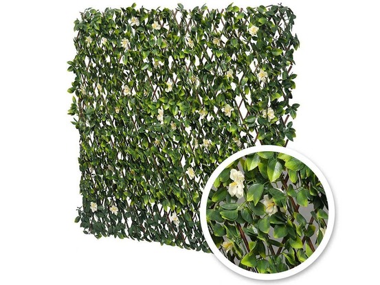 Treillis extensible jasmin fleuris 2 m (2 treillis de1 x 2 m)