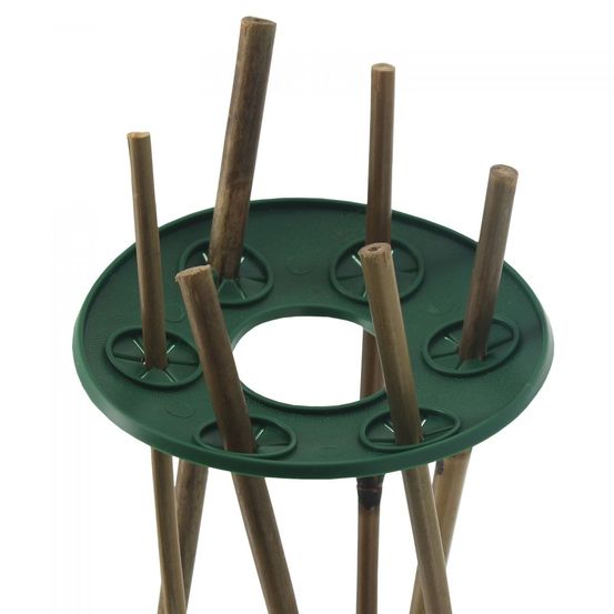 Supports pour tuteurs bambou x 2