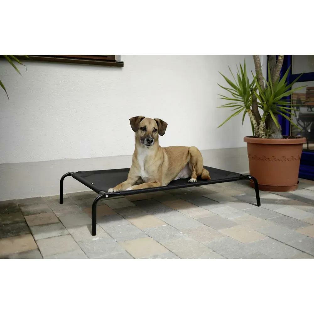 Lit de camp pour chien 130 x 80 cm
