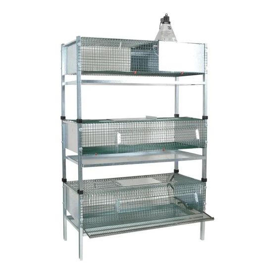 Lot de 3 cages d'élevage cailles