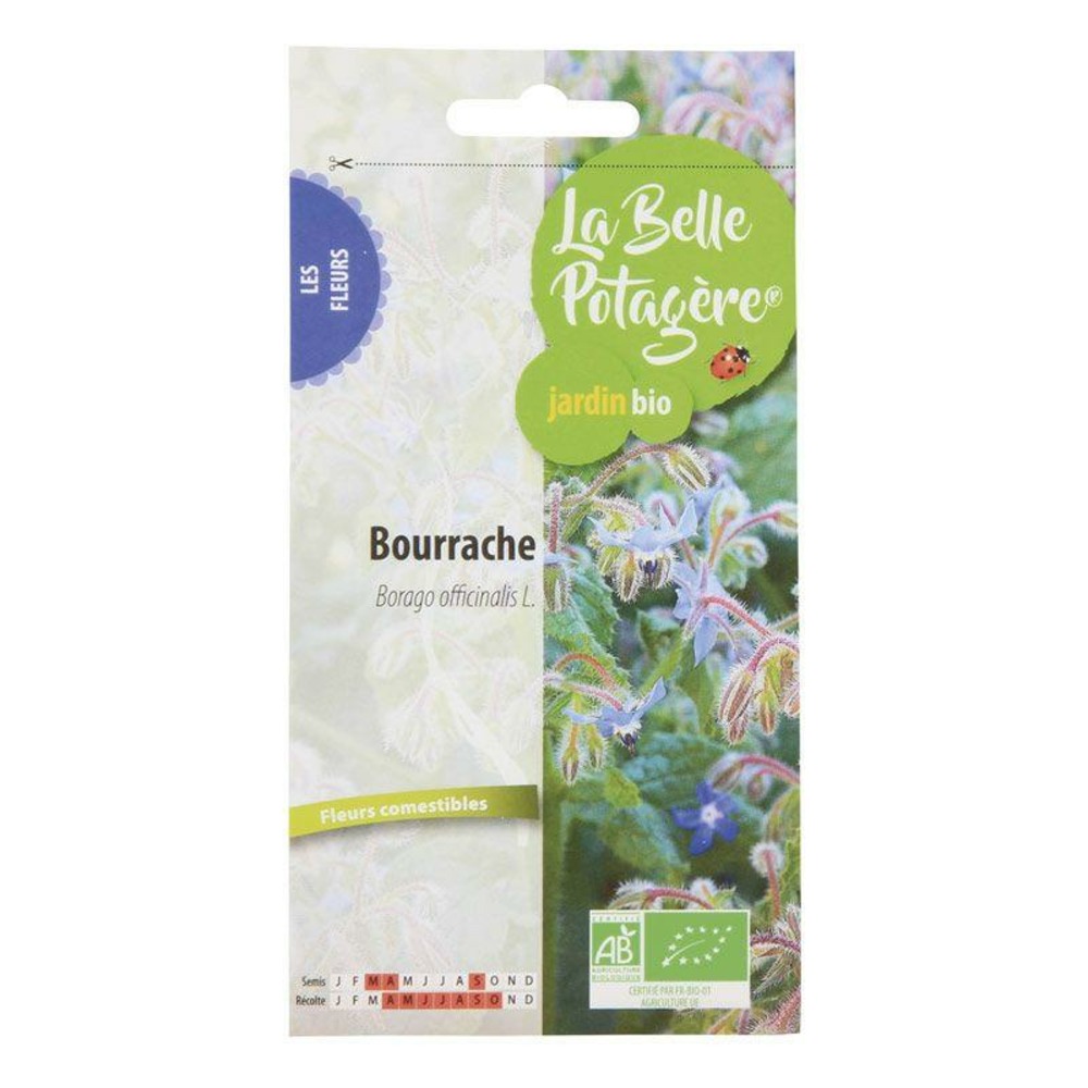 Graines à semer - bourrache officinale - 2 g