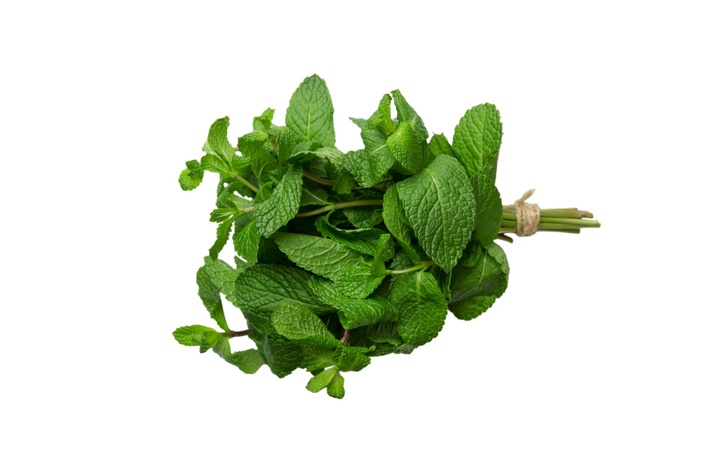 Sachet de graines de menthe verte vraie - sachet de 0,3 grammes - petite entreprise française - made in france