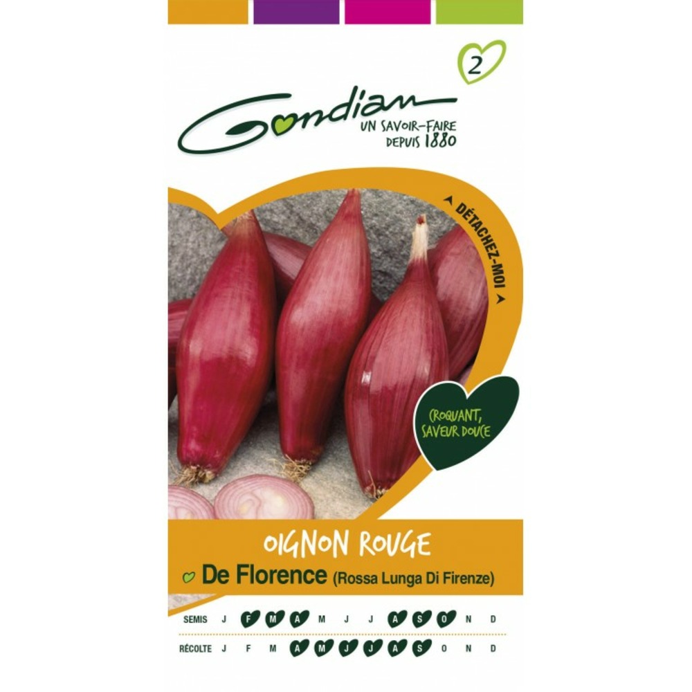 Oignon rouge de florence