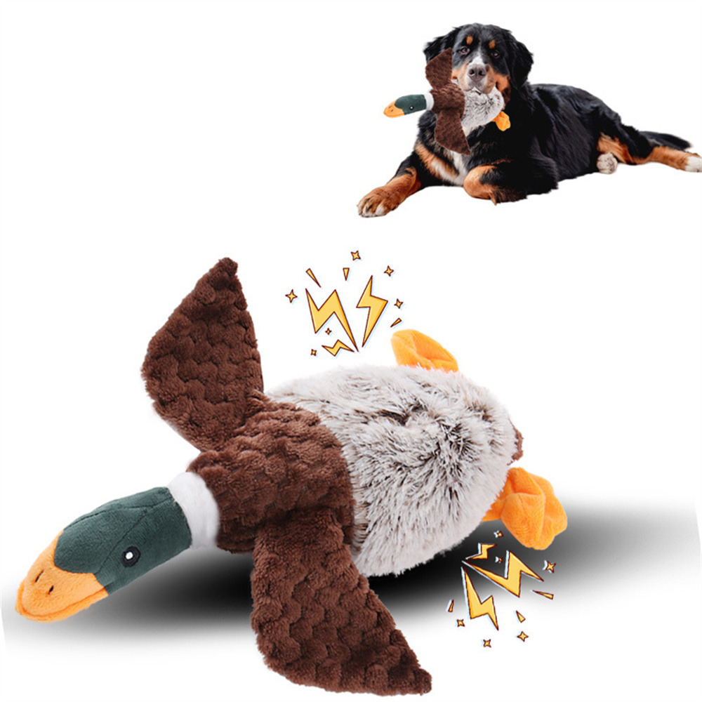 Jouet pour chien en forme de canard en peluche
