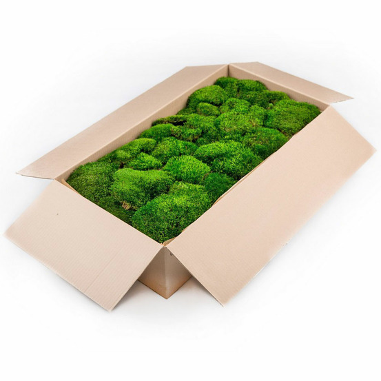Mbp/2010 mousse boule province stabilisée vert forêt carton vrac 2 kg