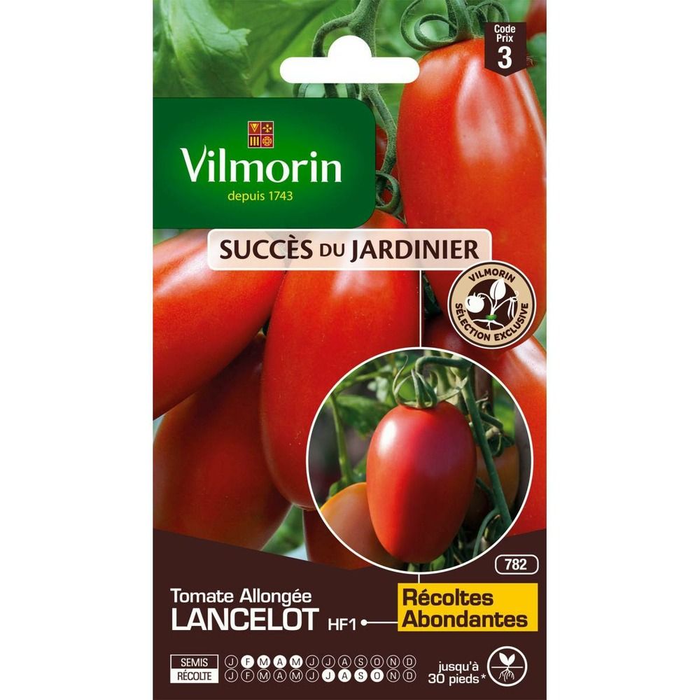 Sachet graines tomate allongée lancelot hf1