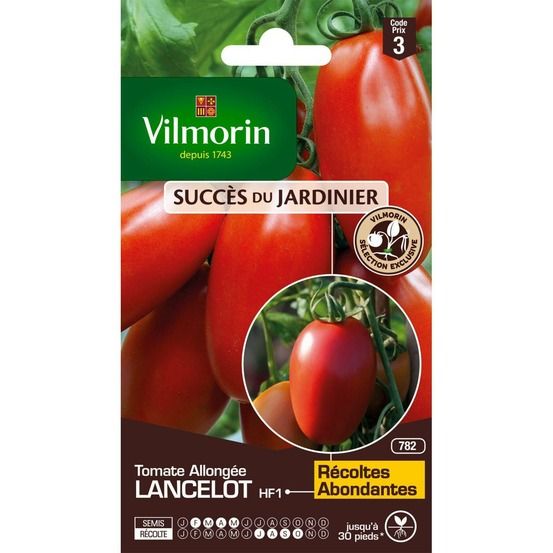 Sachet graines tomate allongée lancelot hf1