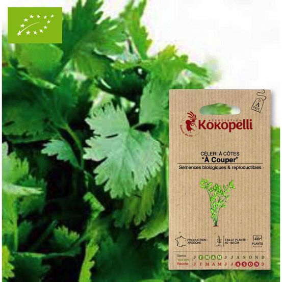 Céleri à côtes à couper- graines bio à semer