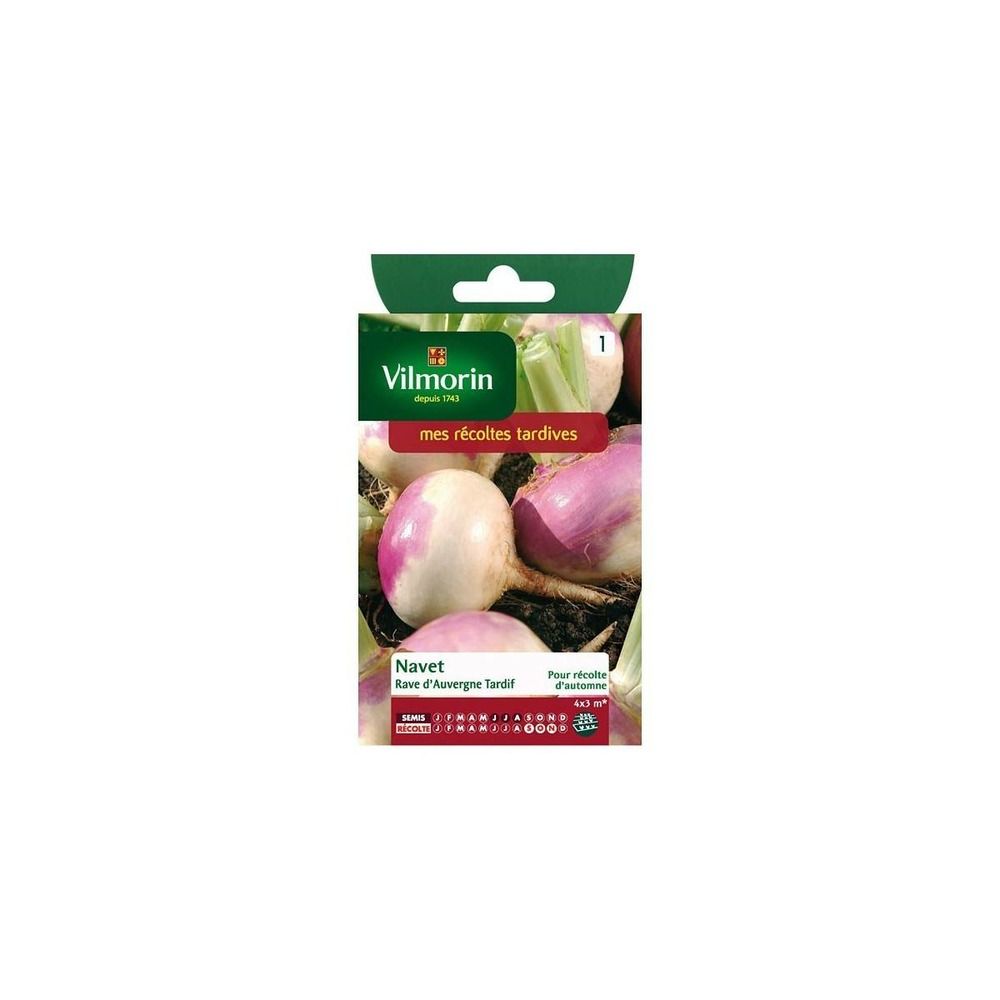 Sachet graines navet rave d'auvergne tardif