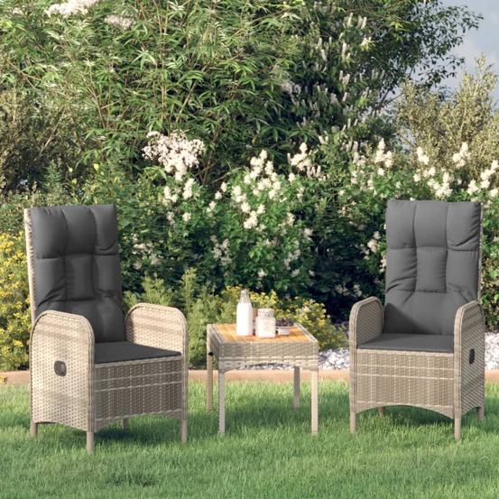 Chaises d'extérieur lot de 2 résine tressée gris