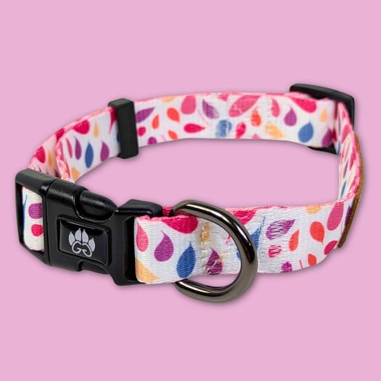 Collier pour chien pétales - l