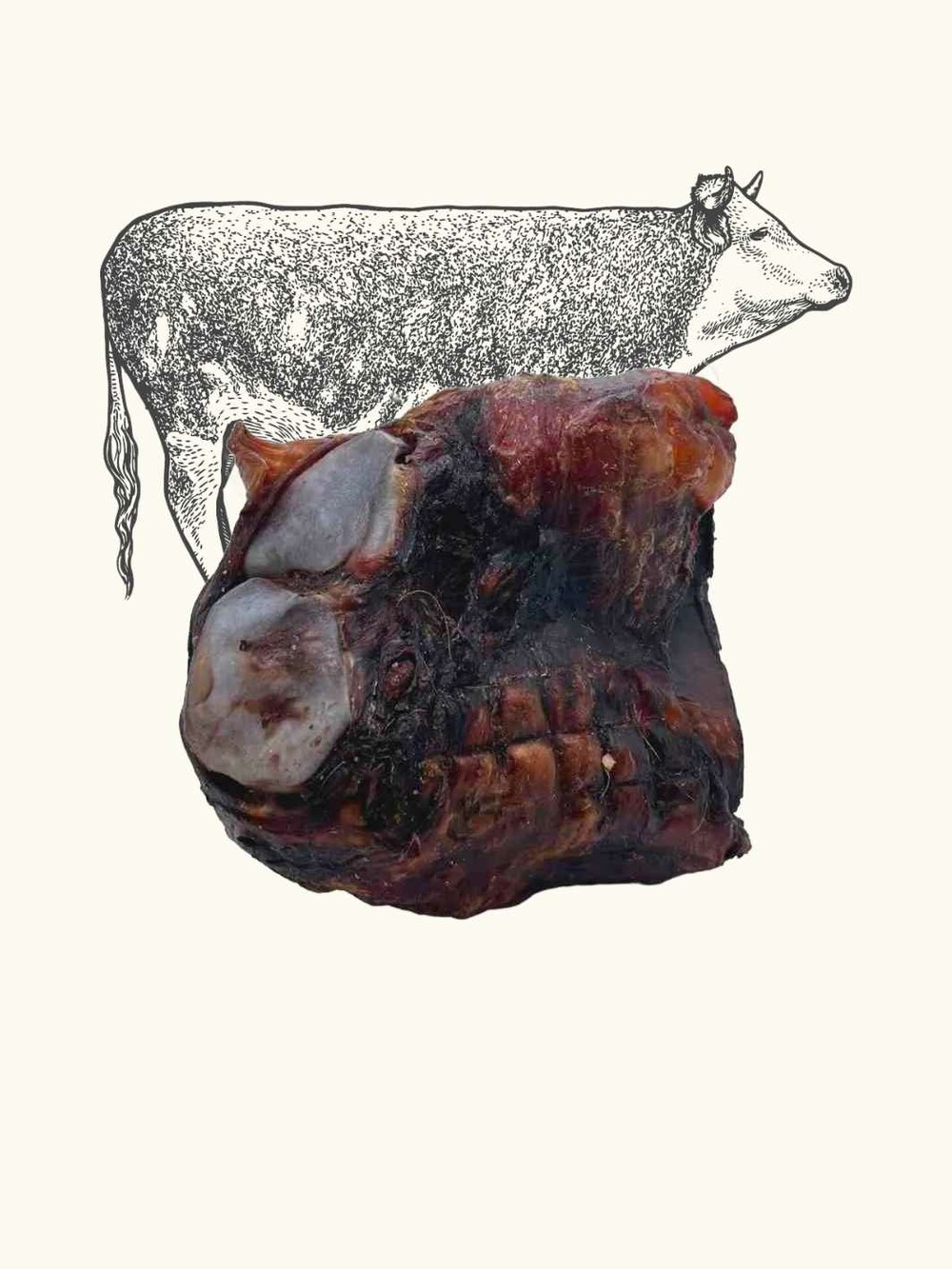 Genou de bœuf pour chien