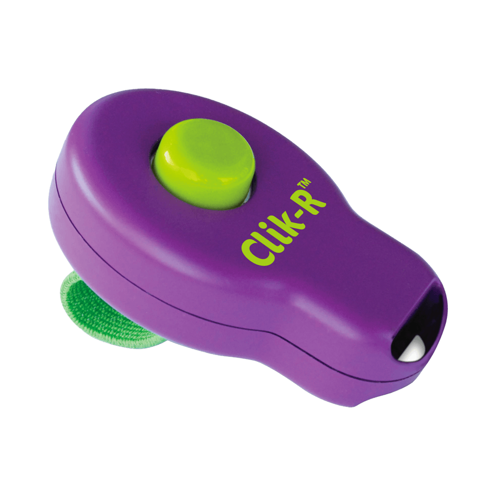 Clicker d’éducation