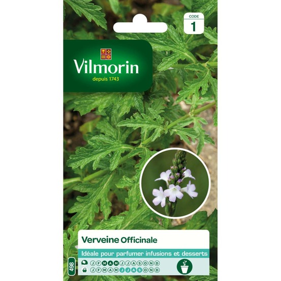 Sachet de graines verveine officinale