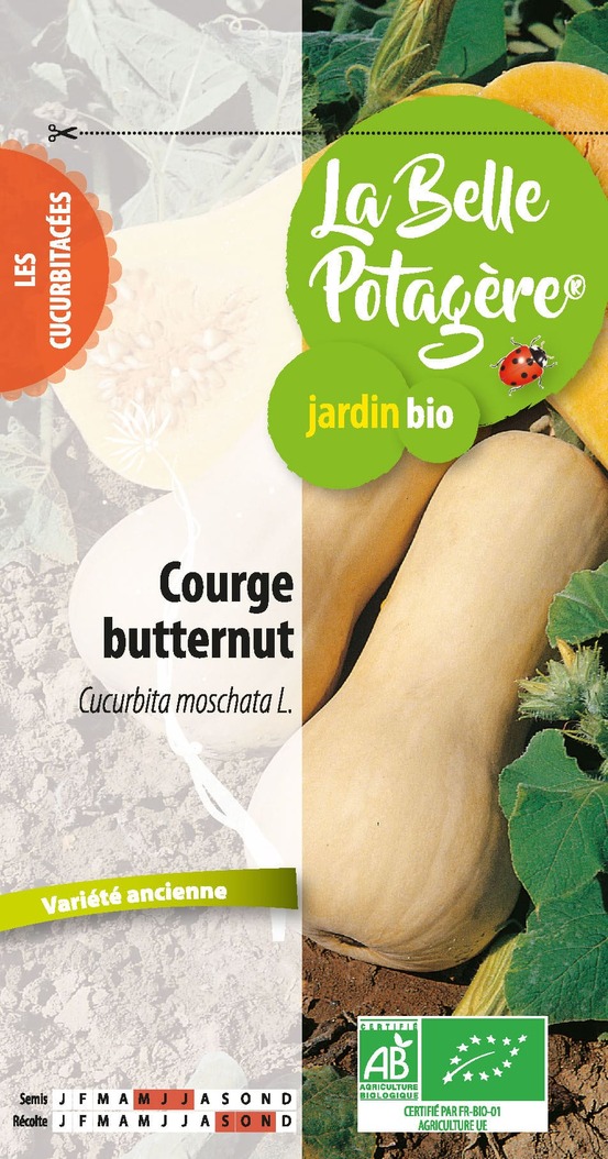 Courge butternut 2,5 g