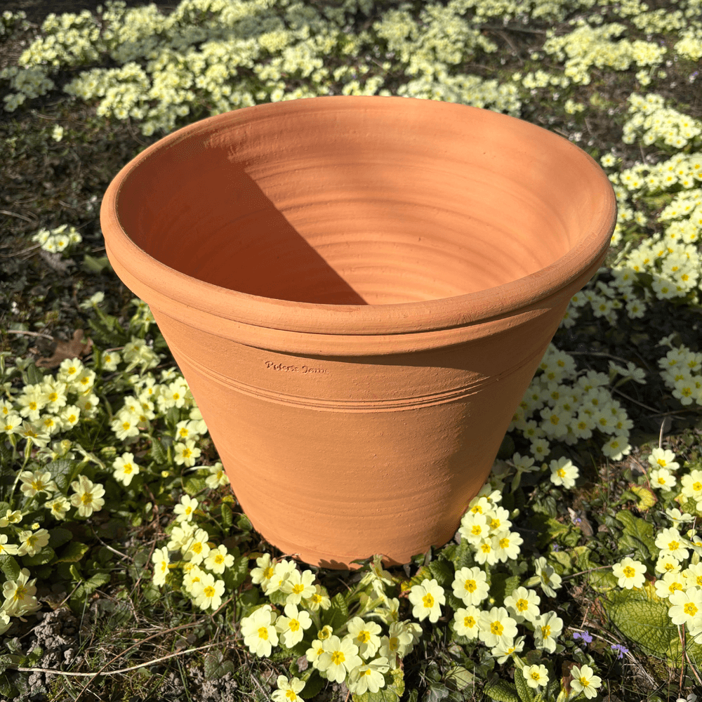 Pot d'ornementation agrume