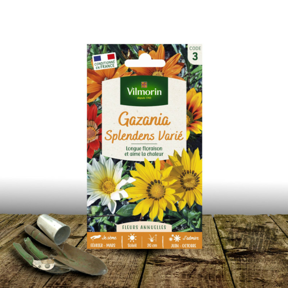 Graines de gazania splendens varié - vilmorin sachet