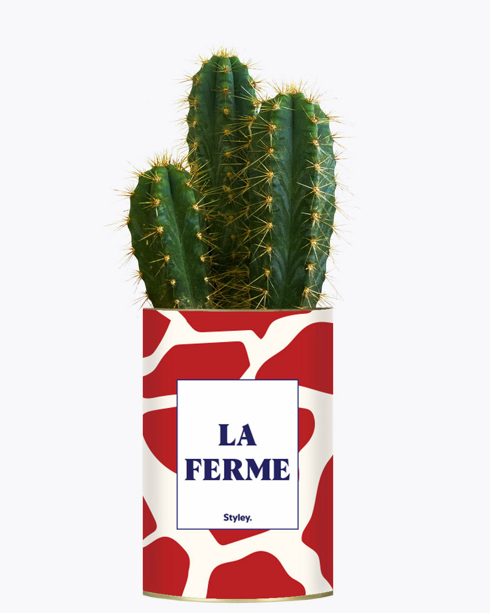 Plante personnalisée - la ferme - cactus