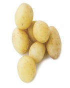 25 pommes de terre penni bio - 40 - willemse, les 25 plants / ø 28-40mm