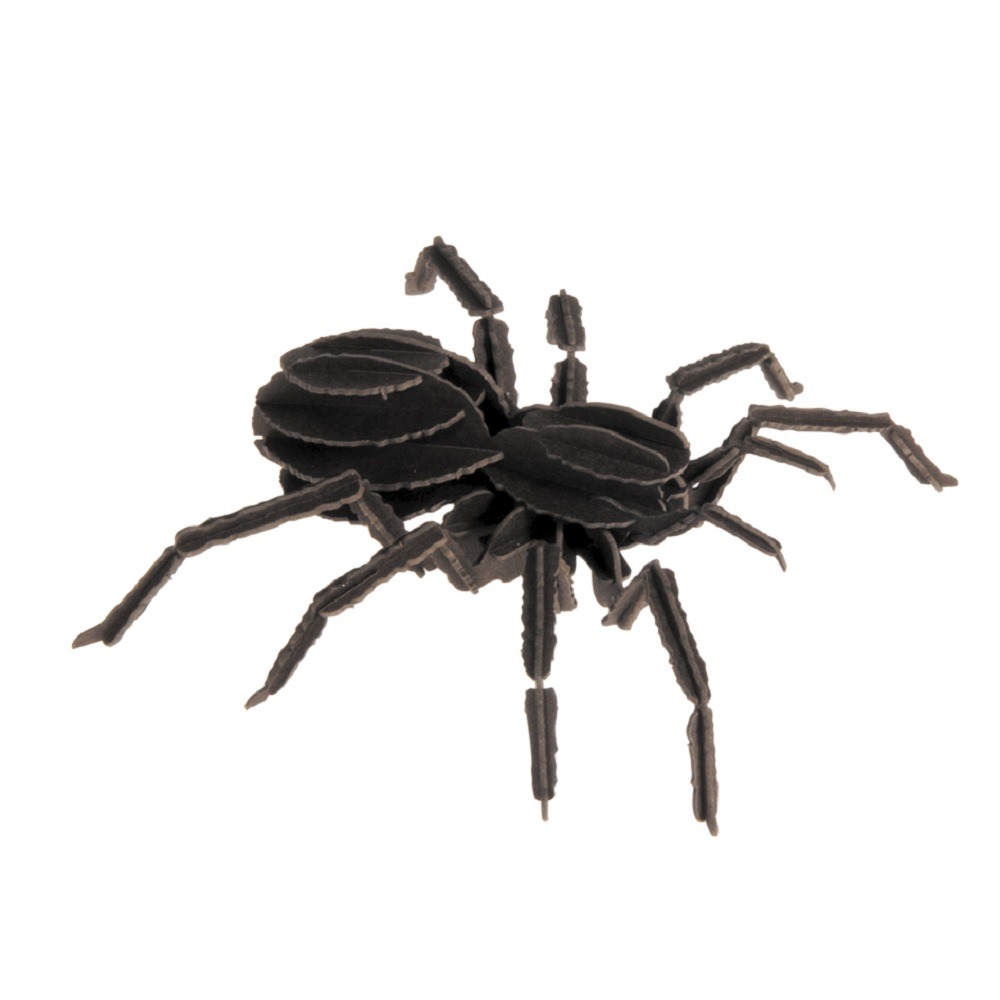 Maquette 3d en papier tarentule