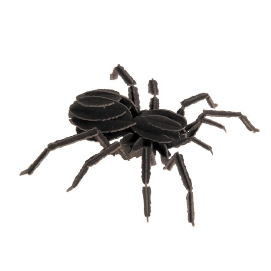 Maquette 3d en papier tarentule