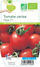Tomate cerise pépé f1 -plant ab en  pot 0.5 l-plante du jardin