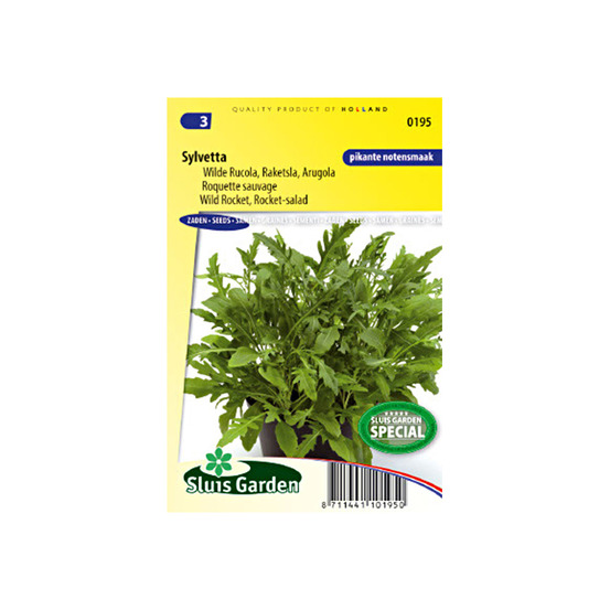 Fausse roquette, roquette blanche 'sylvetta' le sachet de 10000 graines environ (3g)